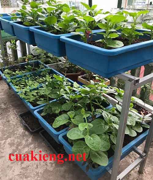 Bộ trồng giàn rau mầm 6 khay bằng sắt - Giá giỏ sắt móc treo giàn chậu hoa ban công HCM